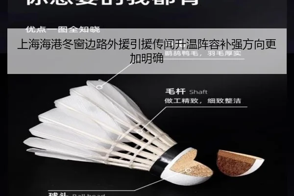 上海海港冬窗边路外援引援传闻升温阵容补强方向更加明确（JZSports）